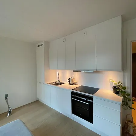 דירה Modern And Tønsberg